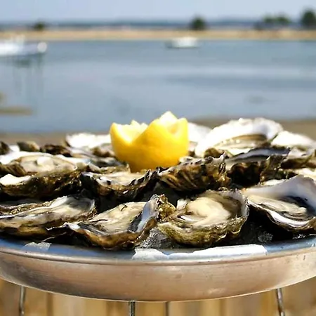 T3 Avec Jardin Clos, 2 Parkings Prives Proche Arcachon *